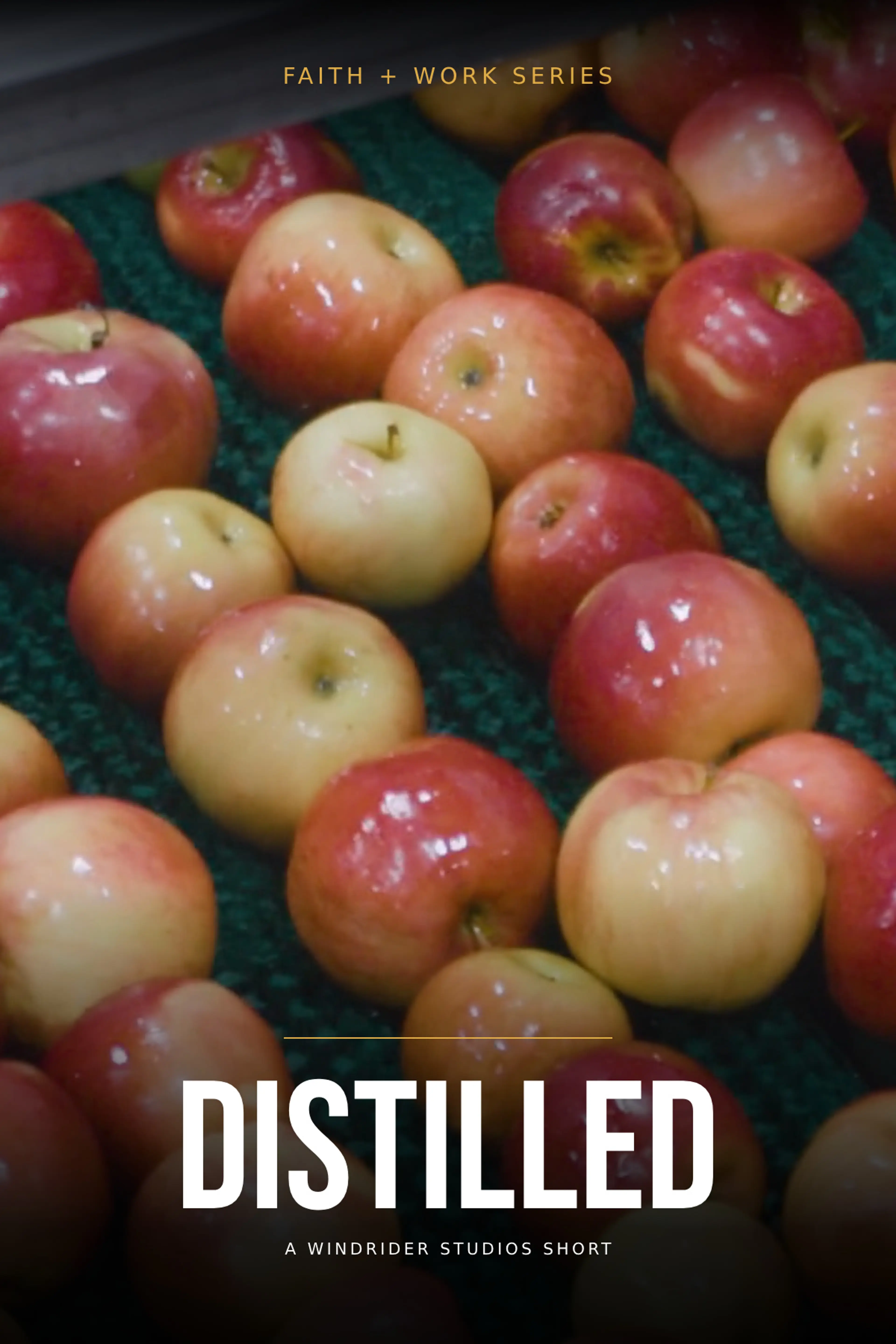 Faith + Work Series - Distilled