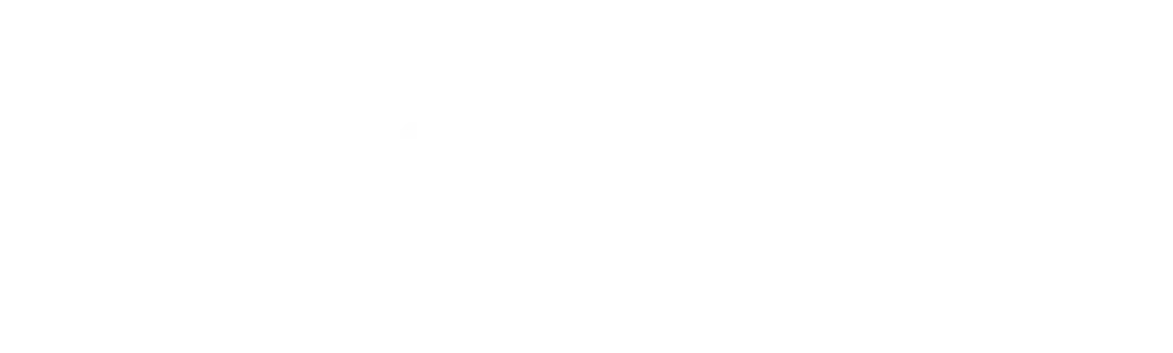 The Starfish